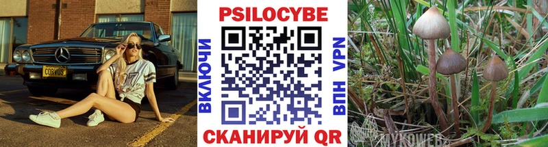 Псилоцибиновые грибы мицелий  Коммунар 